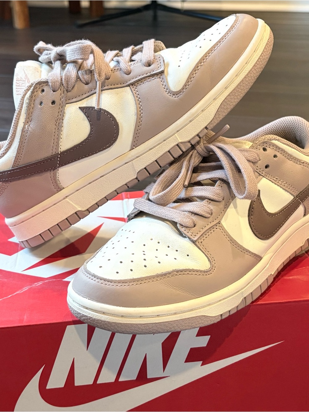Nike Dunk Low-Top Sneakers
